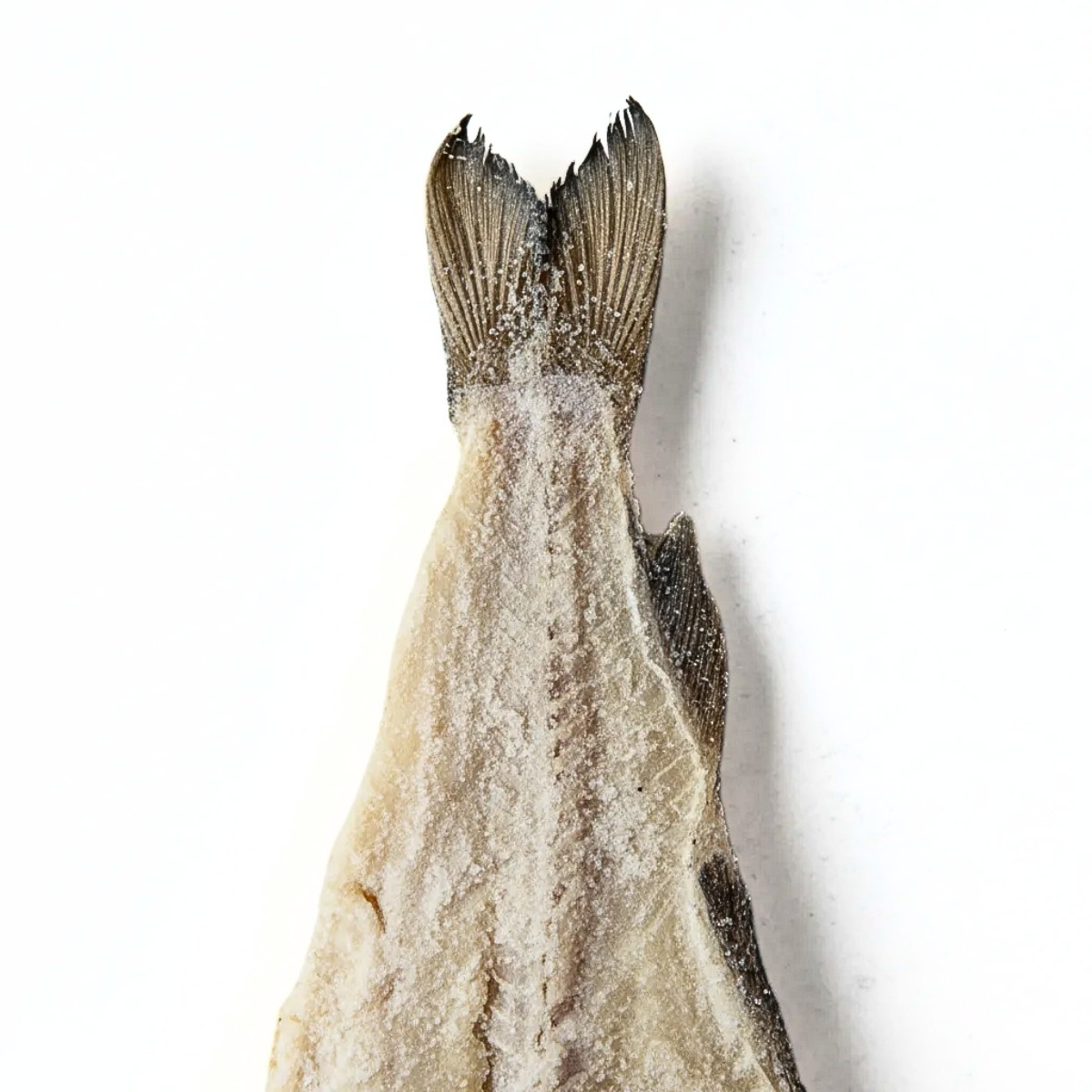 Bacalhau do Porto Interio Gadus Mohua Calibre 7/9 (Peso medio 5kg) - Bacalhau Selecionado - Imagem 5